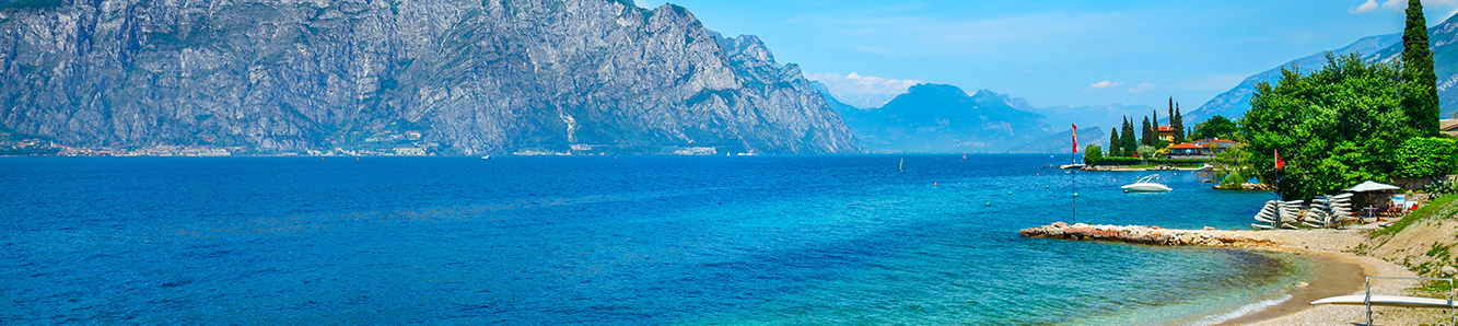 banner-image